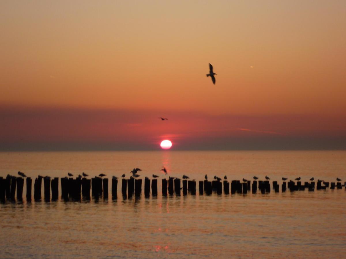 Vakantiehuis Domburg Do12 Екстериор снимка